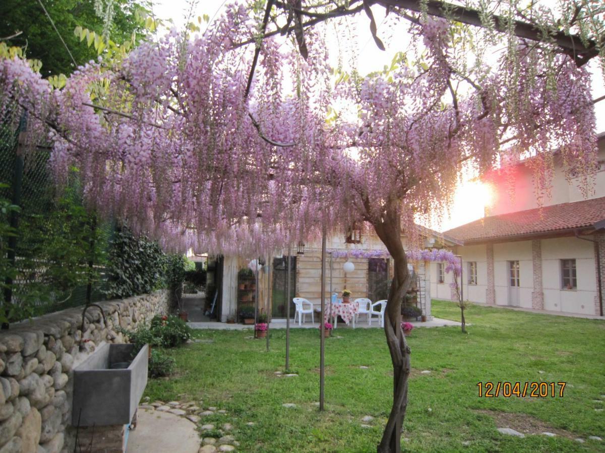 كونيو Casa Torre Allera المظهر الخارجي الصورة